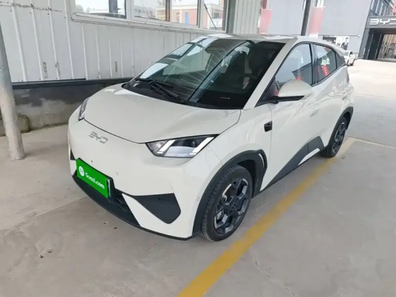 BYD Seagull, 2025