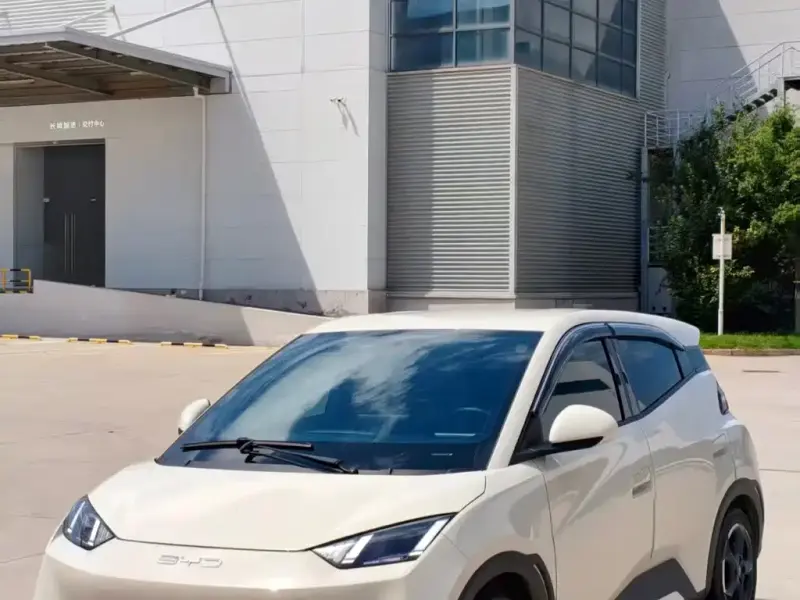 BYD Seagull, 2024
