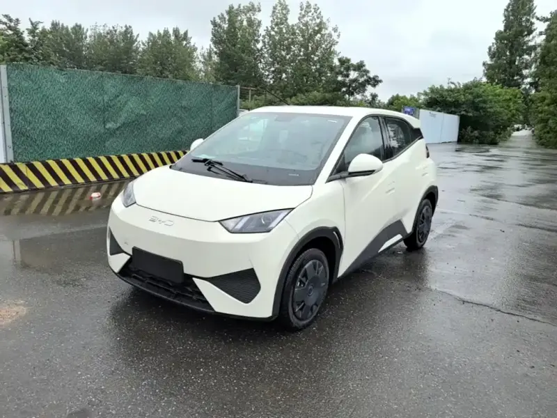 BYD Seagull, 2026