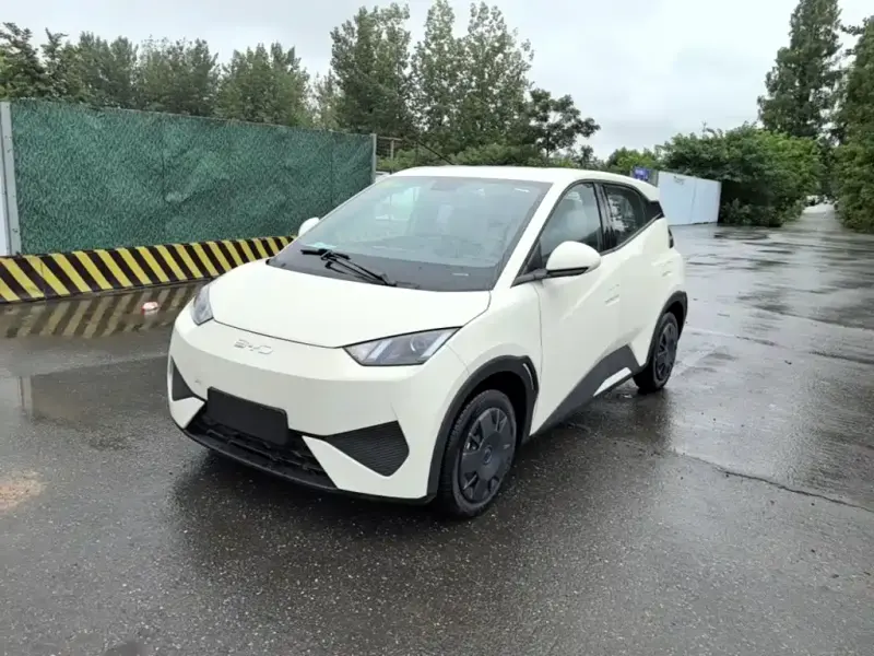 BYD Seagull, 2026