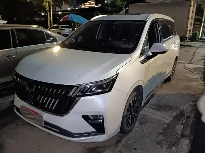 Wuling Jiachen, 2023