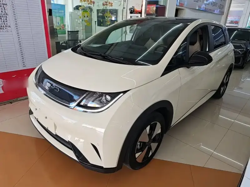BYD Dolphin, 2023