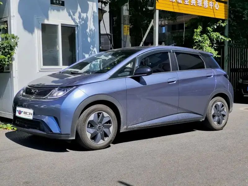 BYD Dolphin, 2024