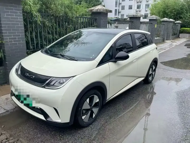 BYD Dolphin, 2023