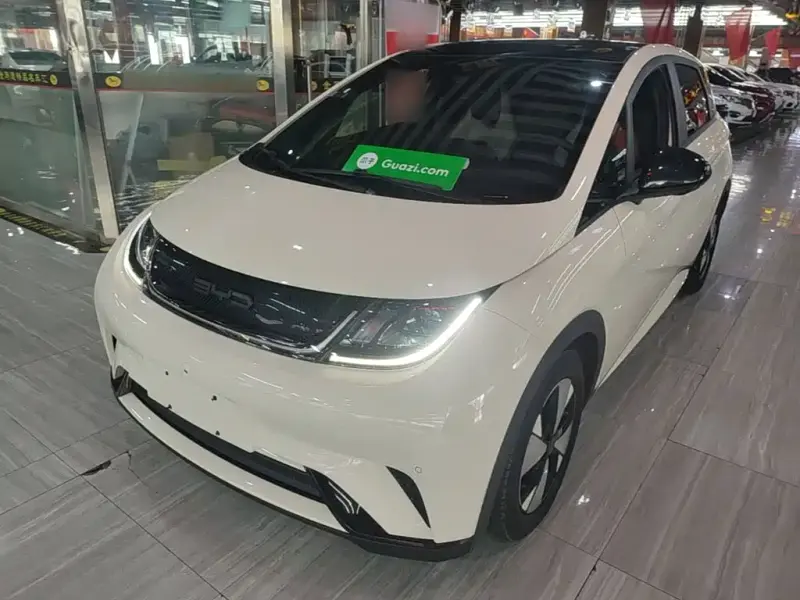 BYD Dolphin, 2023