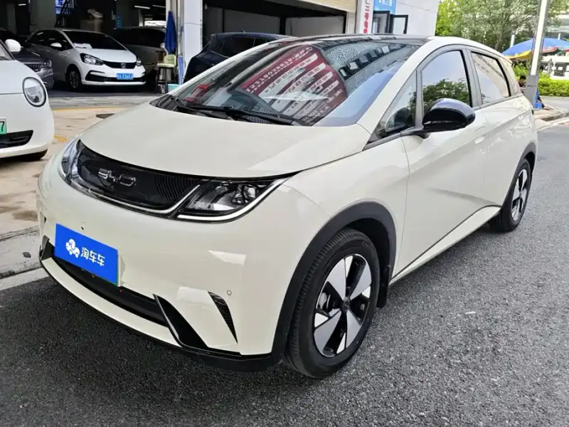 BYD Dolphin, 2024