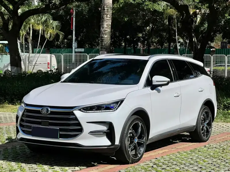 BYD Tang New Energy, 2021