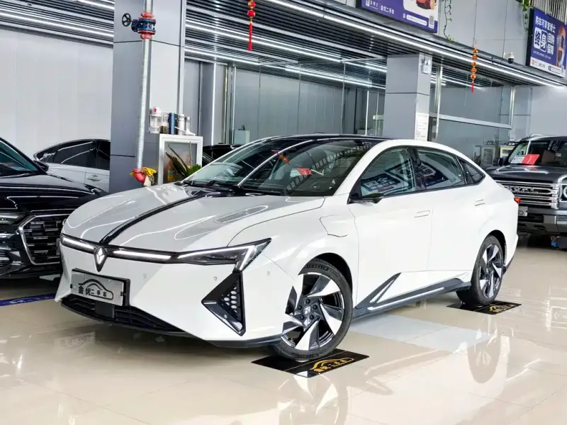 Lingxi L, 2024