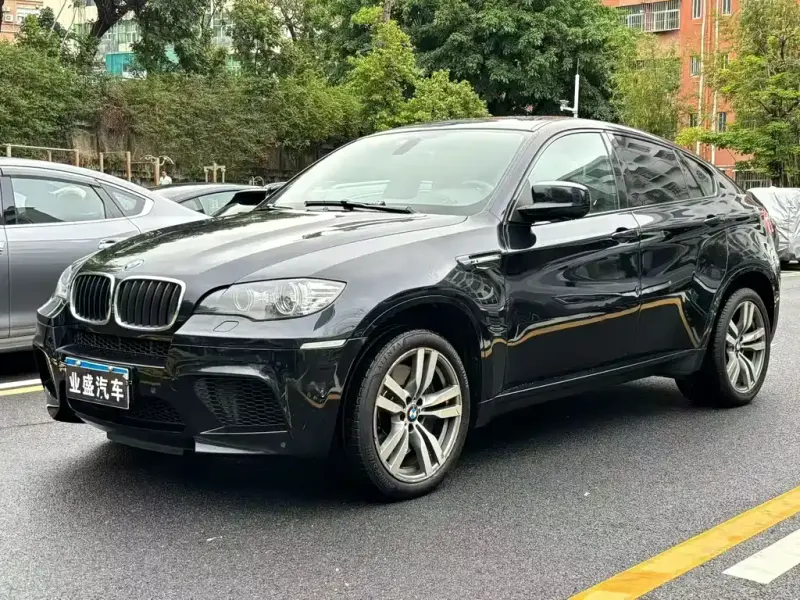 BMW X6 M, 2013 — фото 1