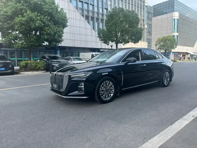 Hongqi H5, 2024