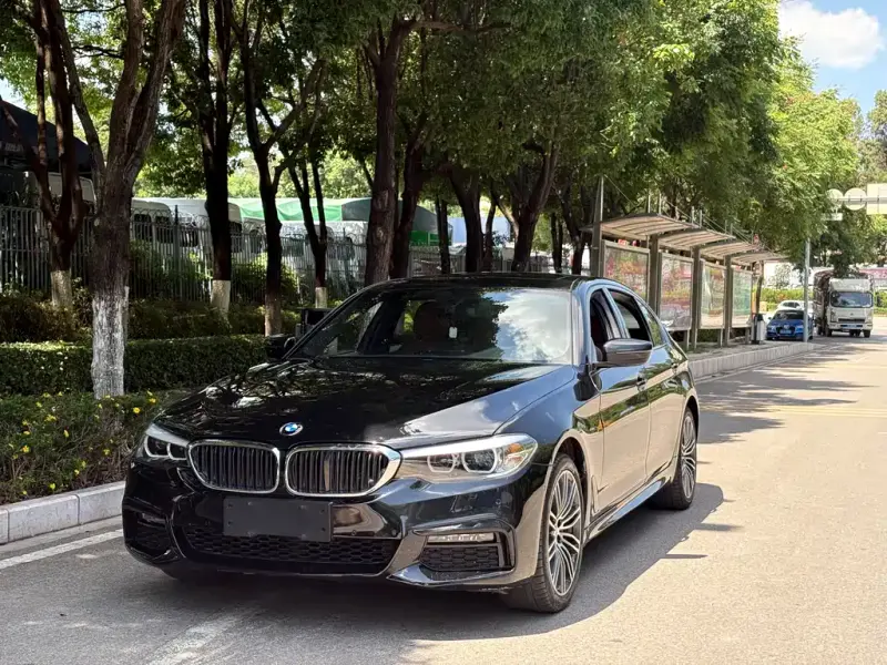 BMW 5 Series, 2019