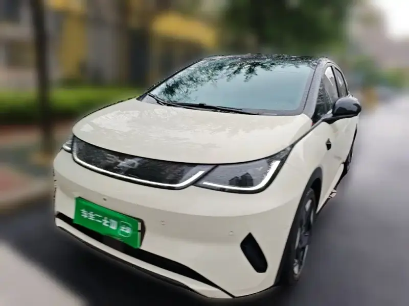 BYD Dolphin, 2025