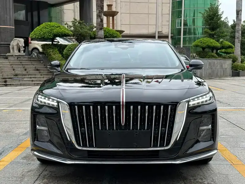 Hongqi H5, 2024