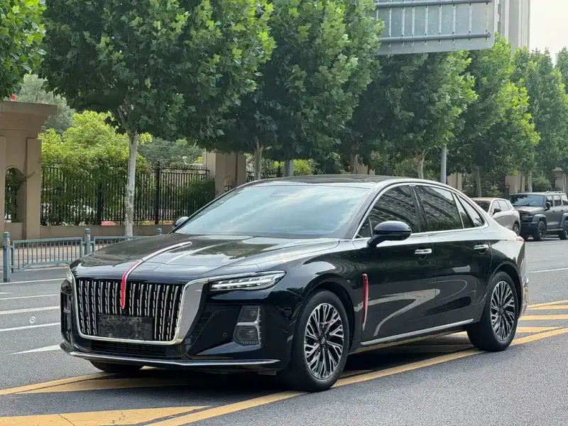 Hongqi H5, 2024