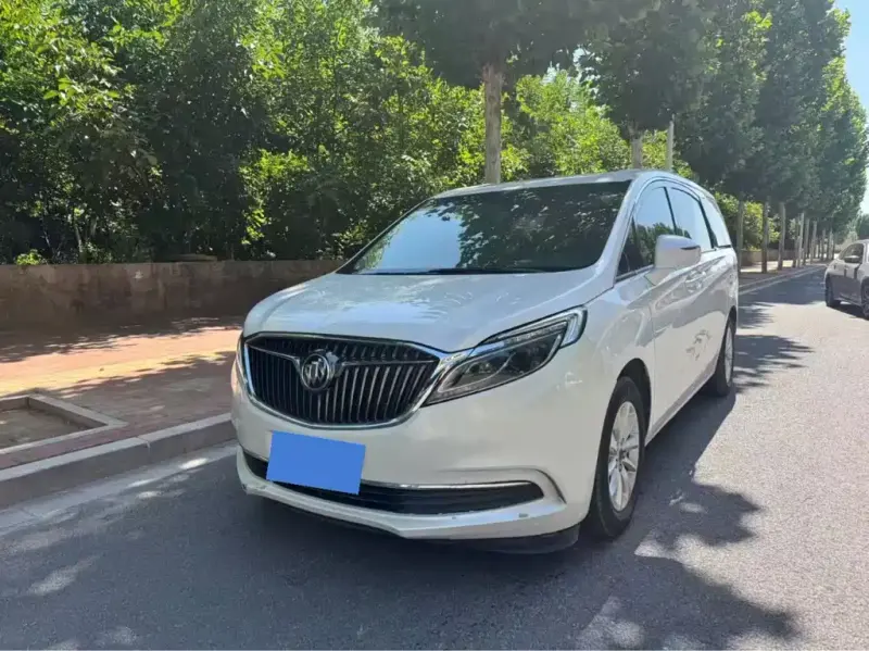 Buick GL8, 2019