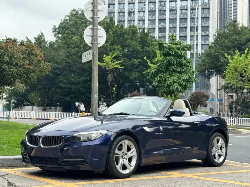 BMW Z4, 2010