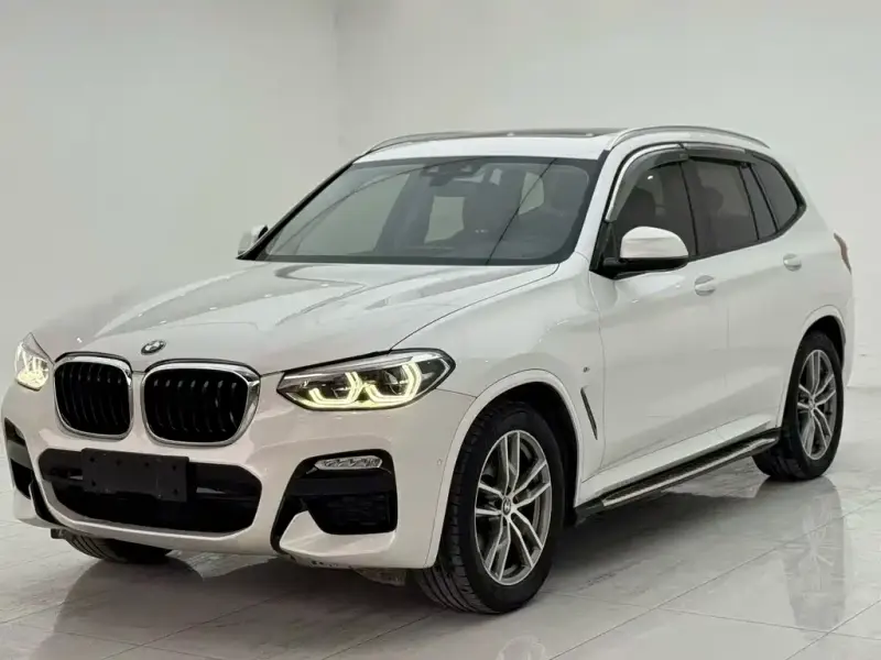 BMW X3, 2019 — фото 1