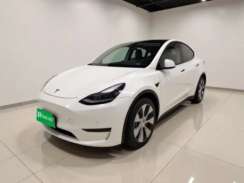 Tesla Model Y, 2021 — фото 1