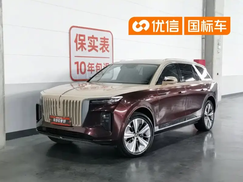 Hongqi E-HS9, 2021