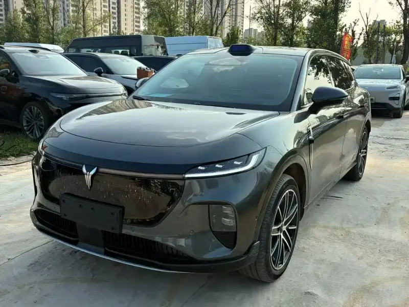 VOYAH Zhiyin, 2025