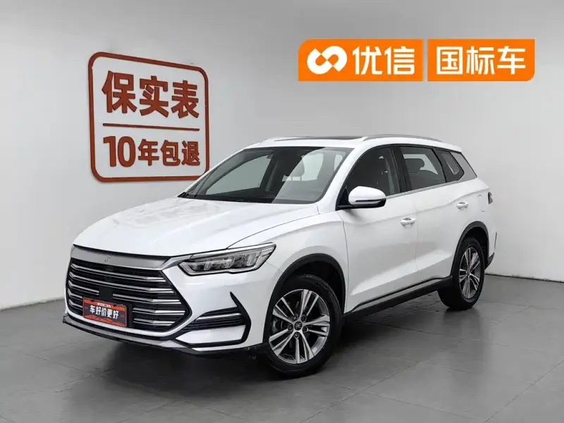 BYD Pro, 2021