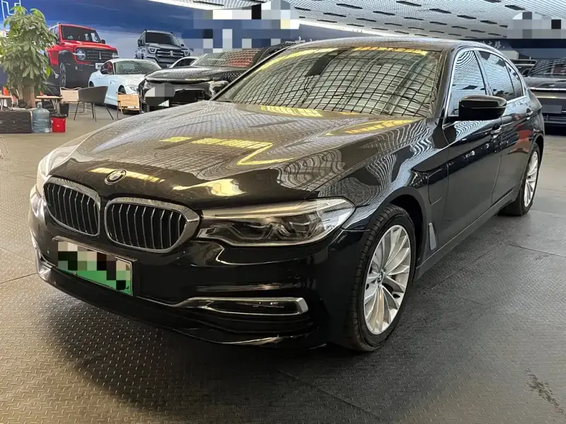 BMW 5 Series New Energy, 2019