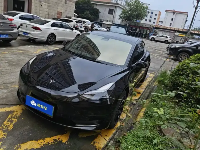 Tesla Model 3, 2021