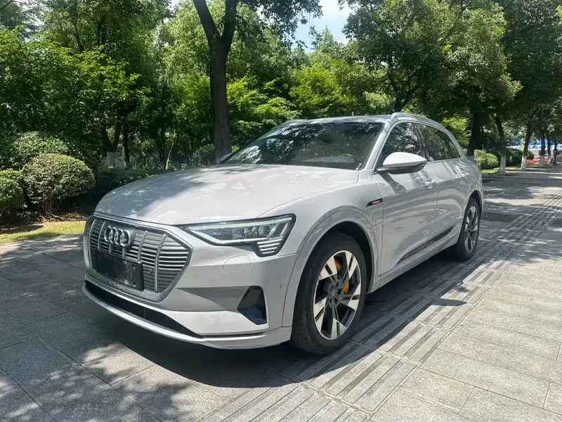 Audi e-tron (Import), 2021