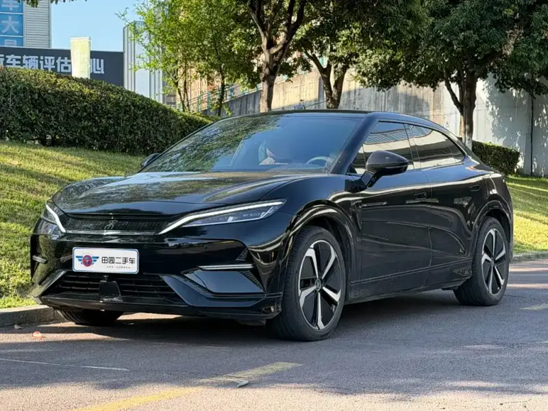 BYD L EV, 2025