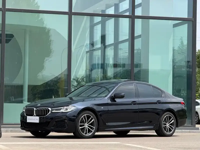 BMW 5 Series (Import), 2020