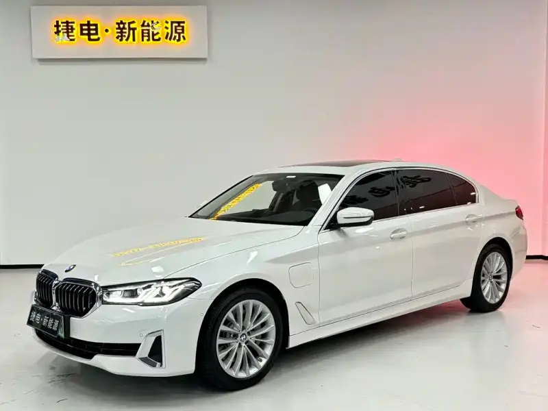 BMW 5 Series New Energy, 2021