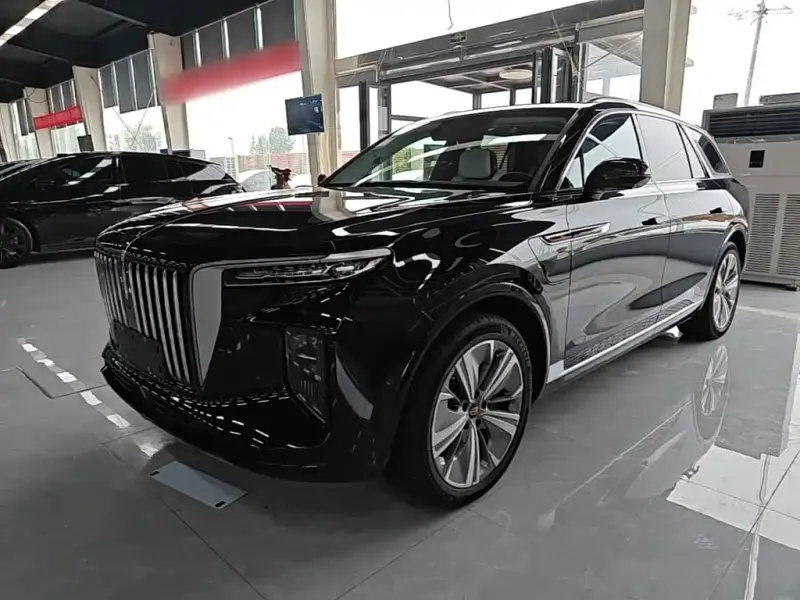 Hongqi E-HS9, 2023 — фото 1