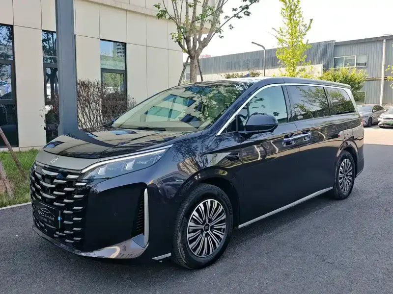 BYD Xia, 2025