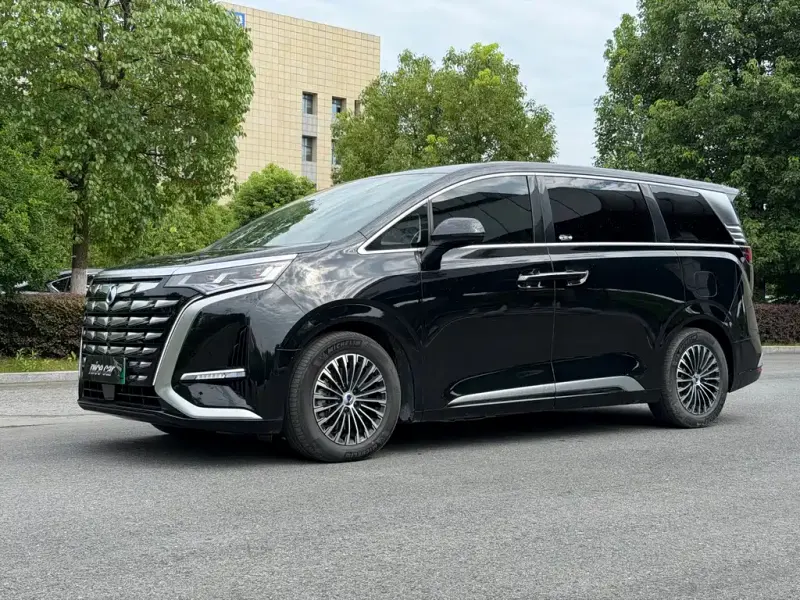Denza D9, 2024
