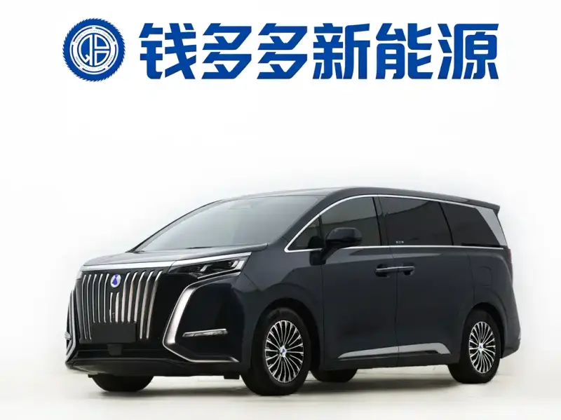 Denza D9, 2023