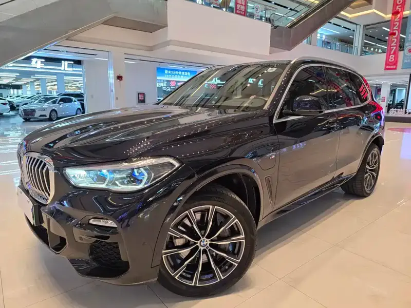 BMW X5 New Energy (Import), 2021