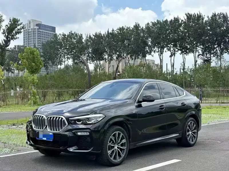 BMW X6, 2020