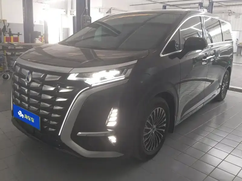 Denza D9, 2025