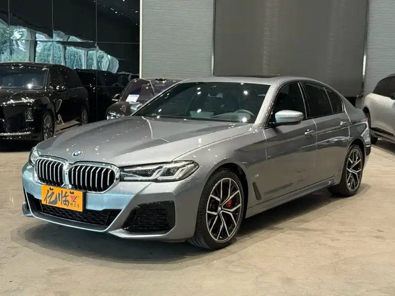 BMW 5 Series (Import), 2021