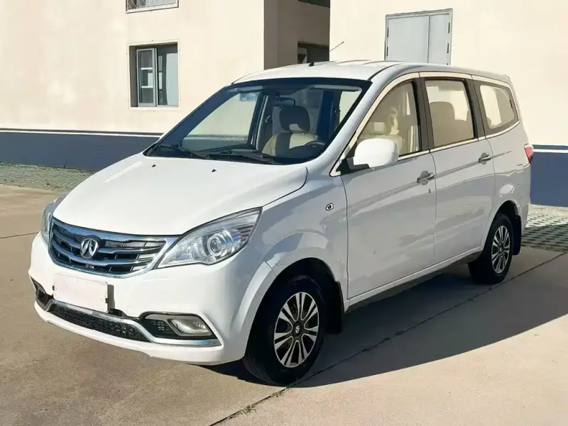 BAW Weiwang M20, 2016