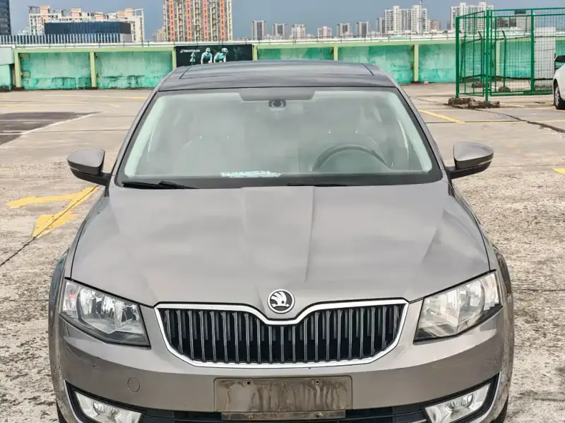 Skoda Octavia, 2014 — фото 1