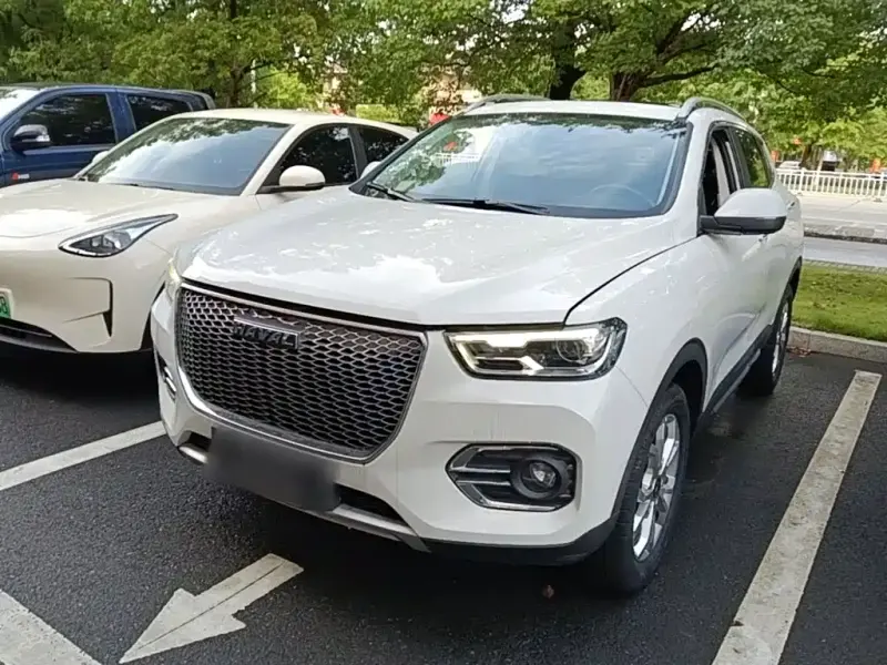 Haval H2s, 2019