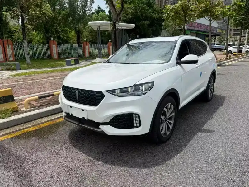 Wey VV6, 2019