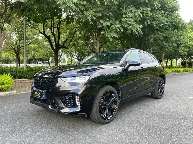 Wey VV7, 2018