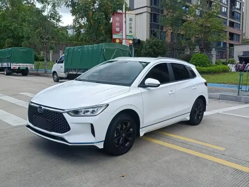 BYD e2, 2021
