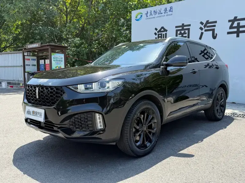 Wey VV6, 2019