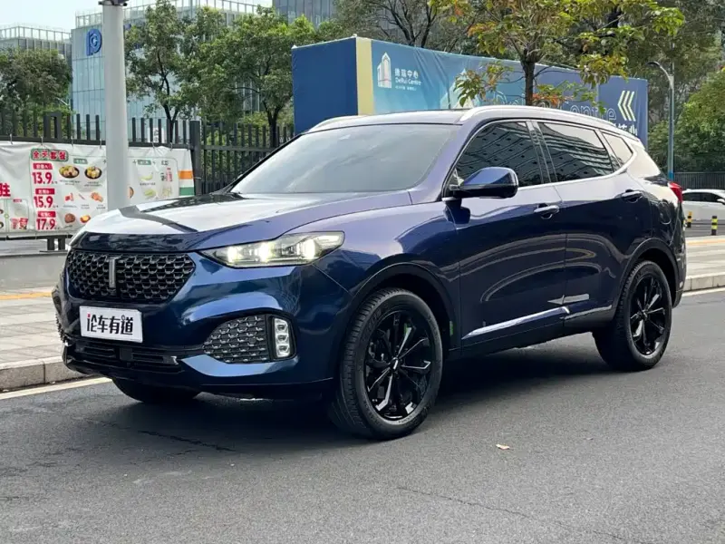 Wey VV6, 2019