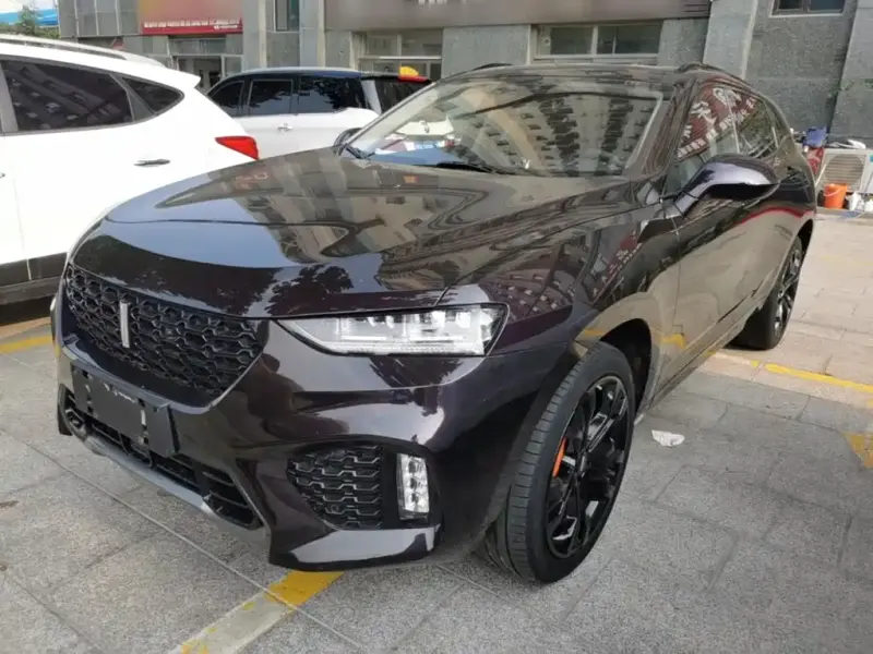 Wey VV7, 2019