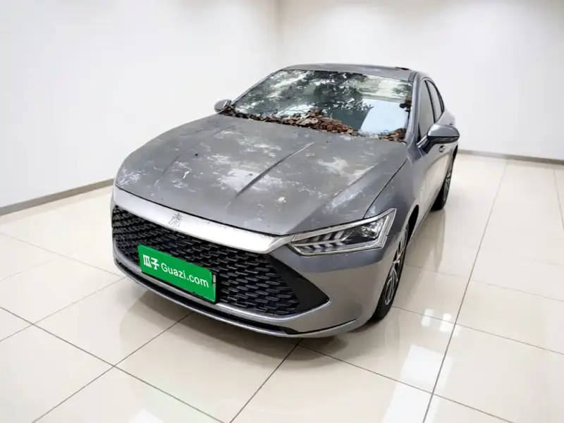 BYD Qin PLUS, 2021