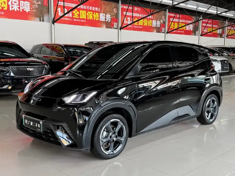 BYD Seagull, 2023
